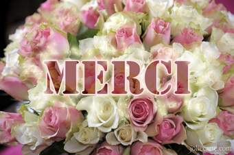 merci1.jpg
