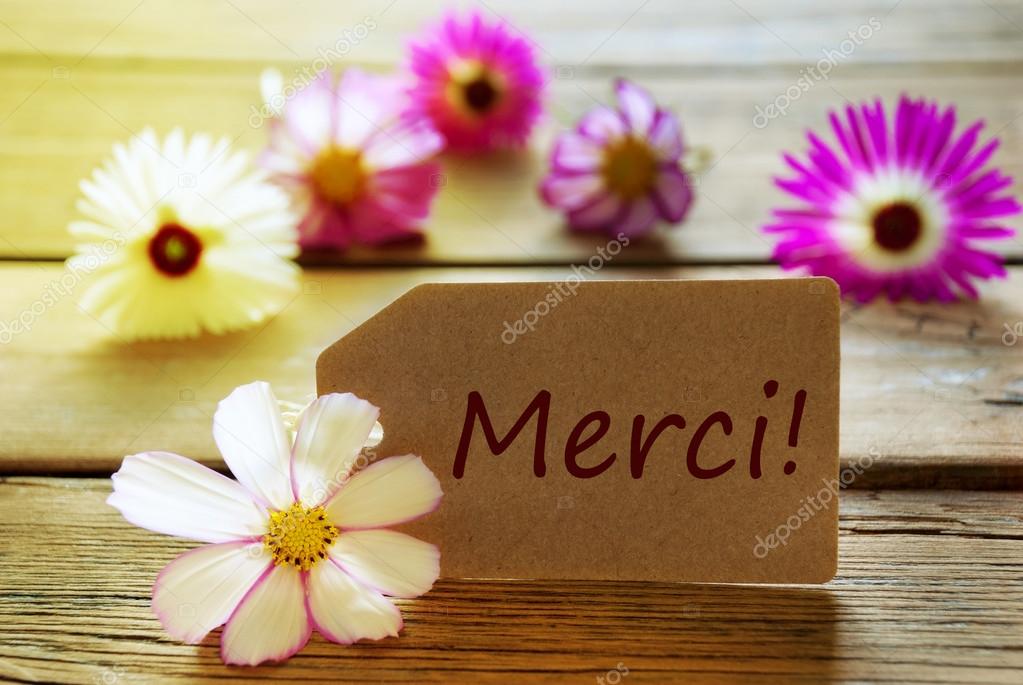 merci1.jpg