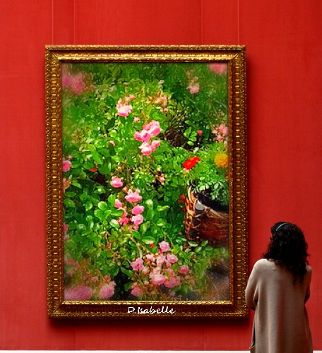 Mes roses.jpg