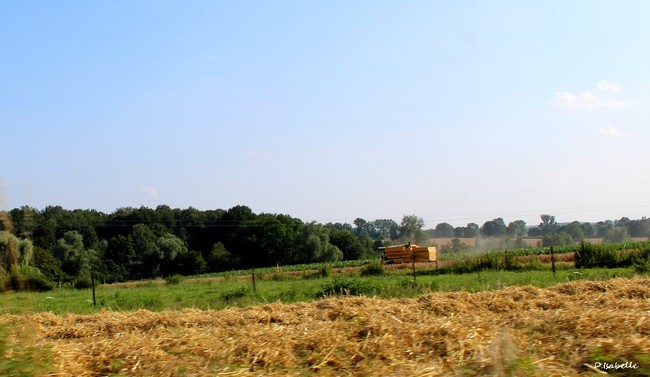 Moisson.jpg4A1.jpg