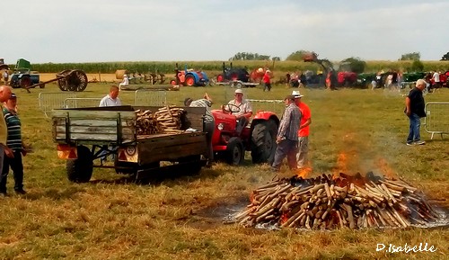 Moisson4.jpg