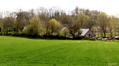 mon village.jpg 2.jpg