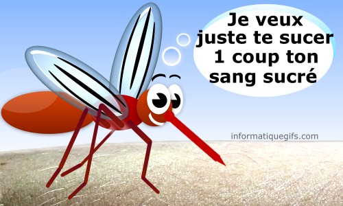 moustique-qui-pique.jpg
