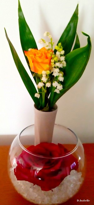 Muguet 2024 1.jpg
