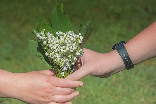 muguet.jpg