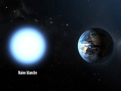 naineblanche.jpg