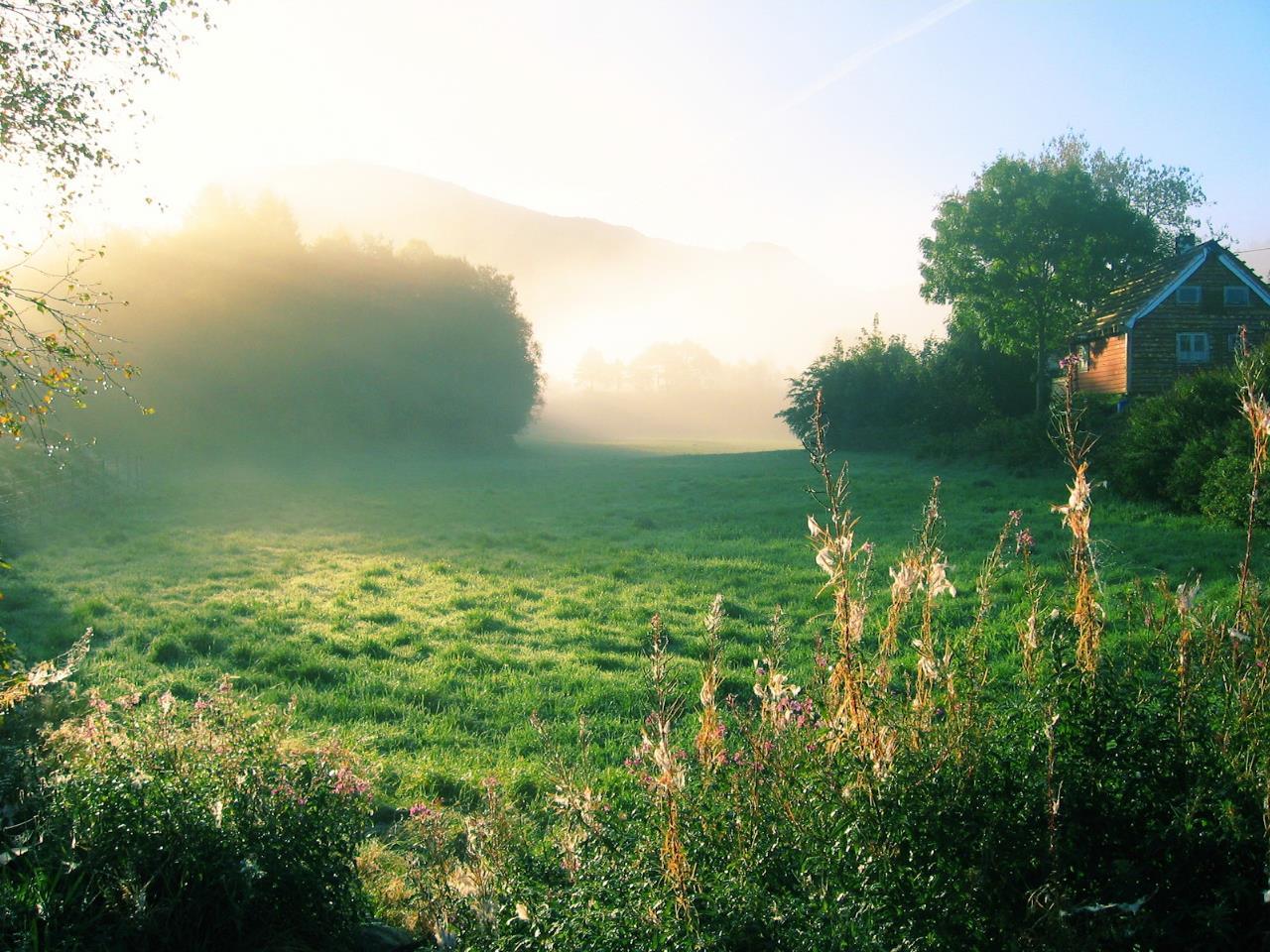 nature_wallpaper_free_076[1].jpg