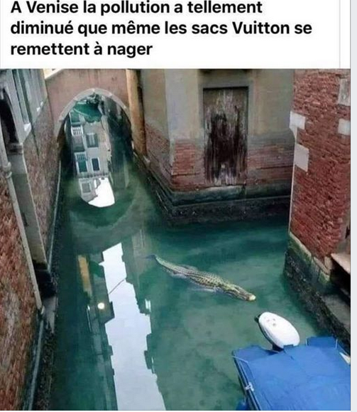 NatureConfinée.PNG