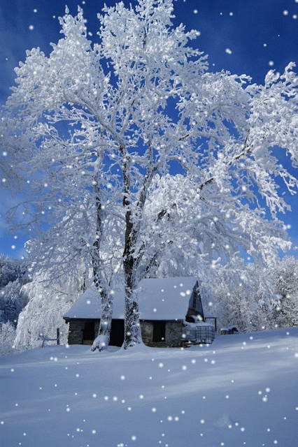 neige2.gif