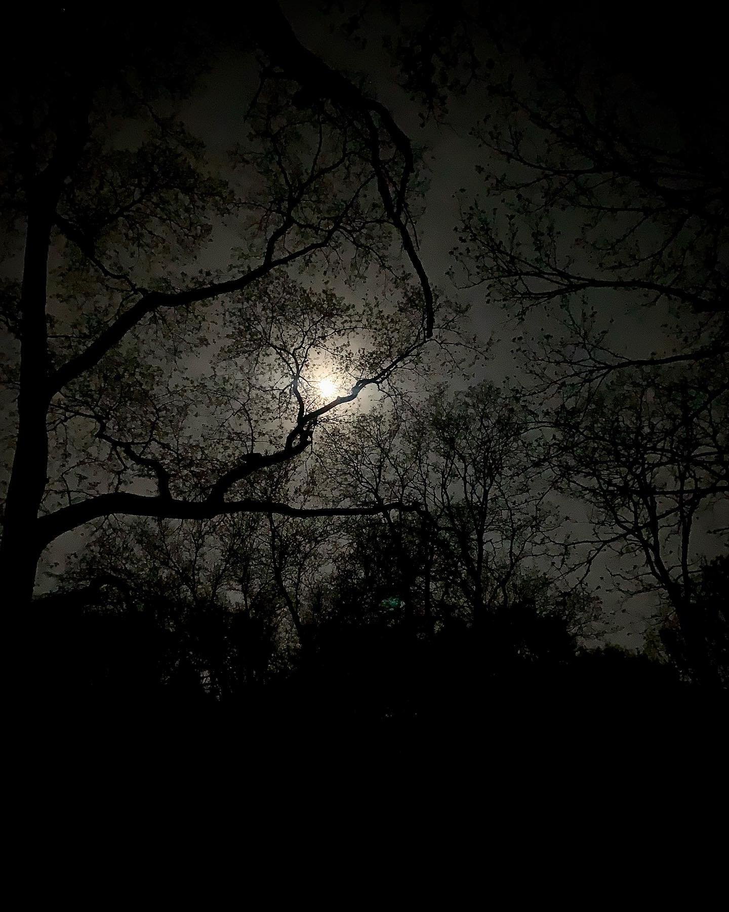 nuits.jpg