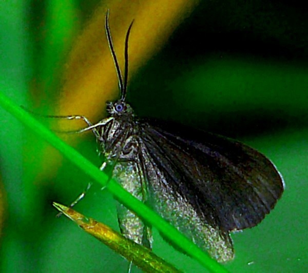 ob_3cc560_p1120777.JPG