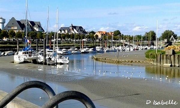 ob_3effc9_20170820-180218.jpg