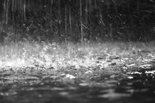 ob_4f116b_me-rain-medium.jpg