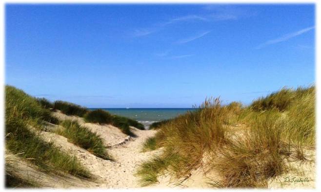 ob_77abb8_bray-dunes1.jpg