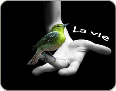 ob_7d18da_ob-52dc31-la-vie-1.jpg