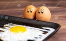 oeufs-avec-un-visage-triste-près-d-oeuf-au-plat-photo-humoristique-145336580.jpg