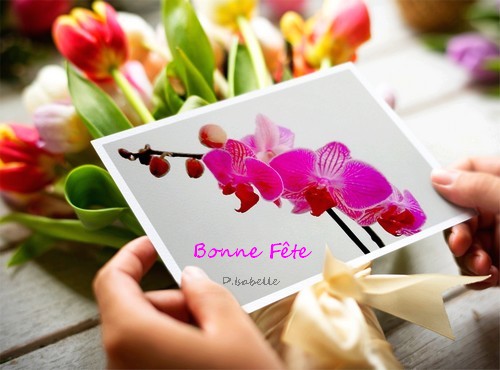 orchidéeA4.jpg