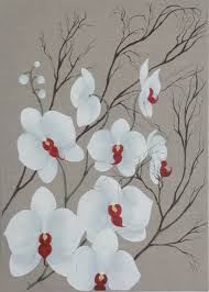orchidées dessin.jpg