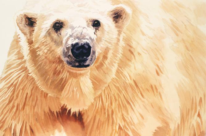 ours blanc.jpg