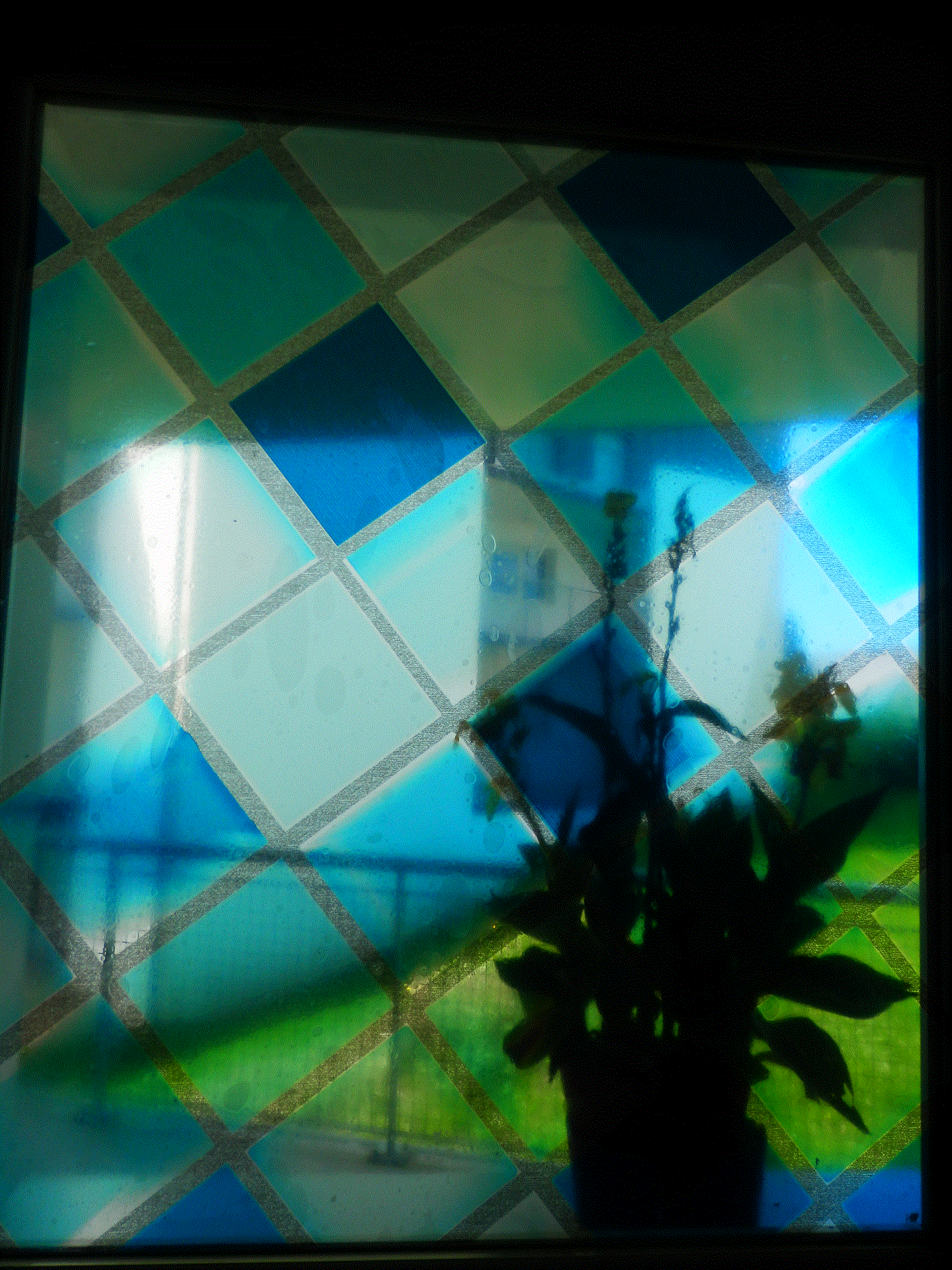 P8250346.gif