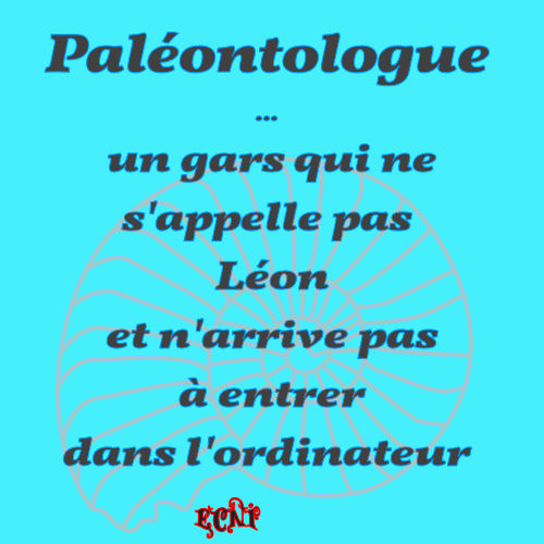 Paléontologue.jpg