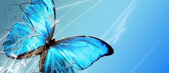 papillon 6.jpg