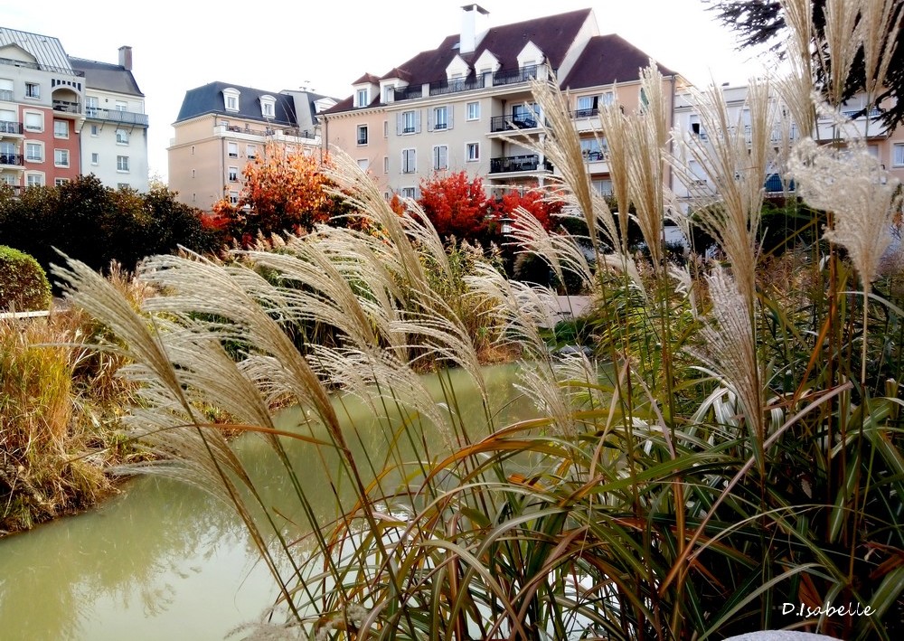 Parc.1jpg.jpg
