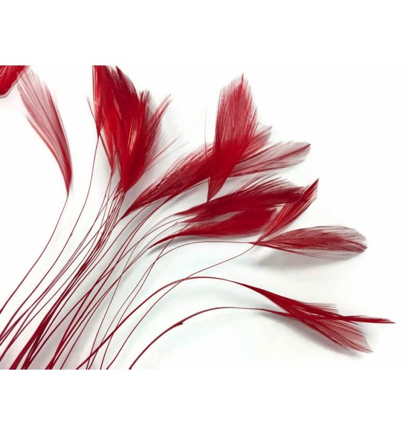petit-bouquet-de-fleurs-plumes-rouge[1].jpg