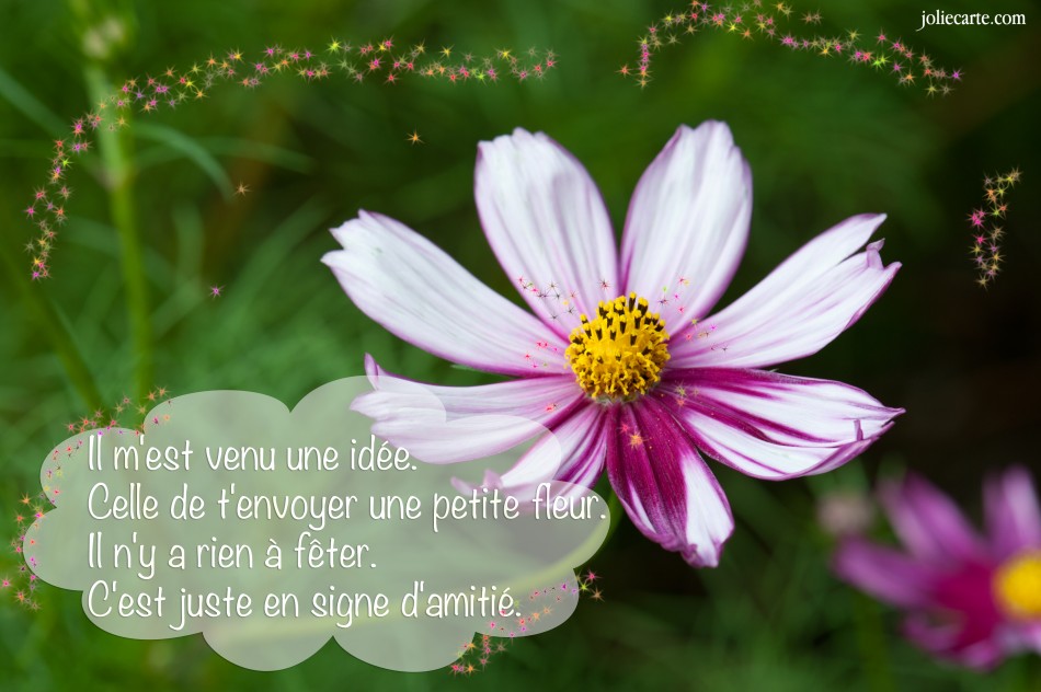 Petite amitié.jpg