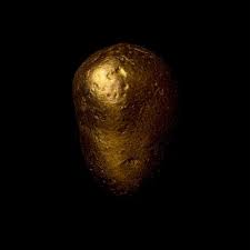 photo de patate.jpg