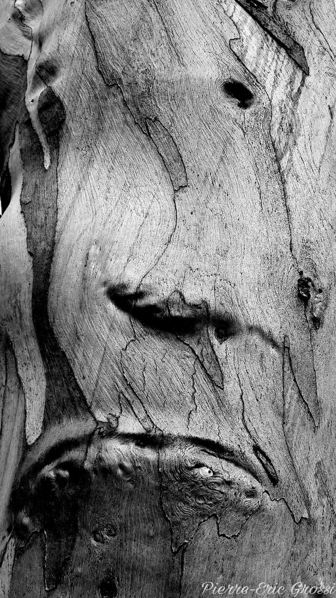 PicsArt_10-17-09.45.20.jpg