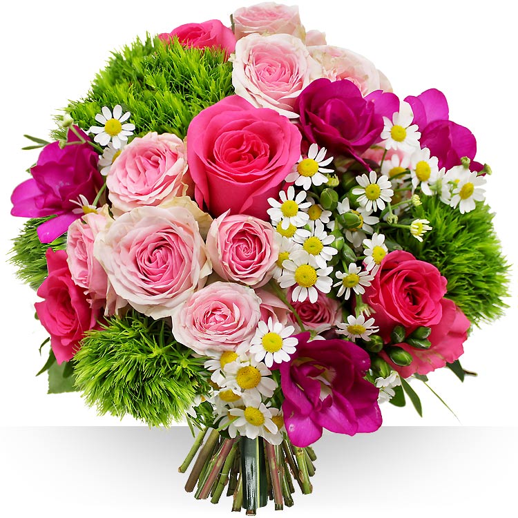 pinky-750-8322.jpg