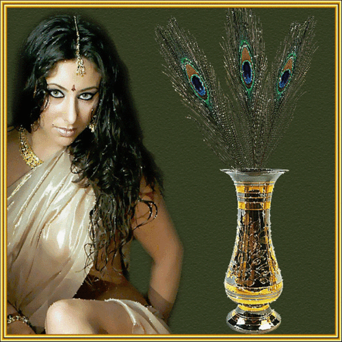 plumes-paon.gif