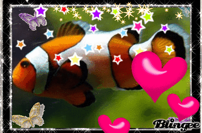 poisson-clown.gif