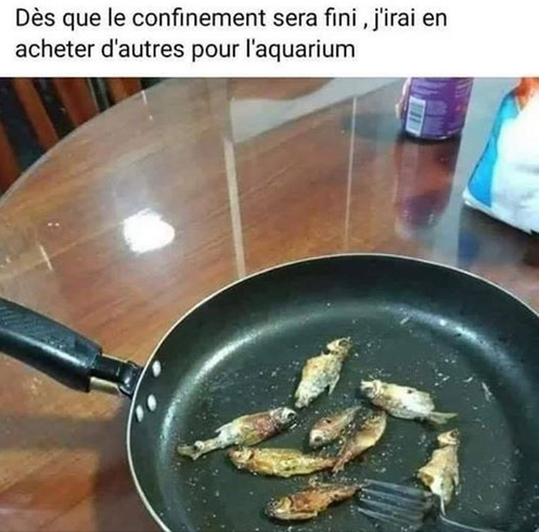 PoissonAquarium.PNG