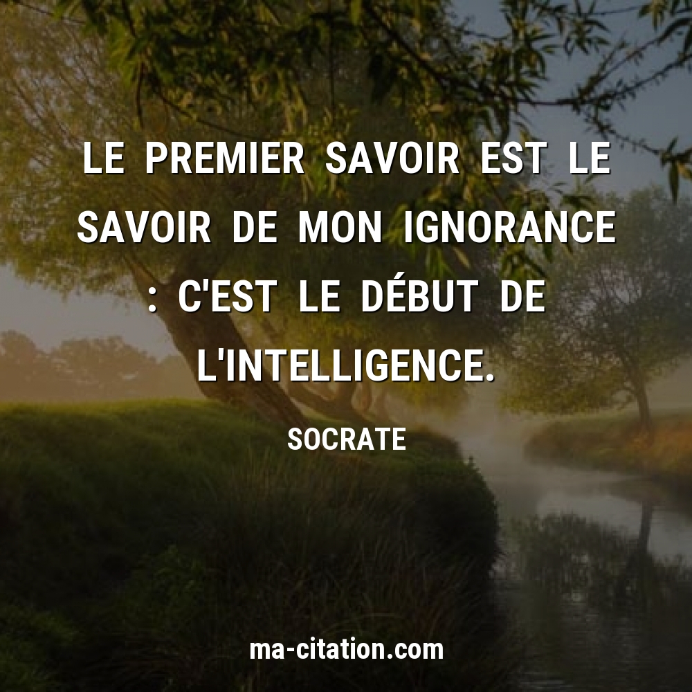 premier-savoir-savoir-ignorance-cest-debut-lintelligence.jpg