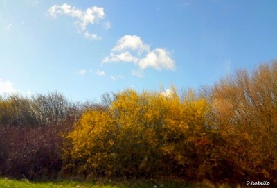Printemps 2019-1.jpg
