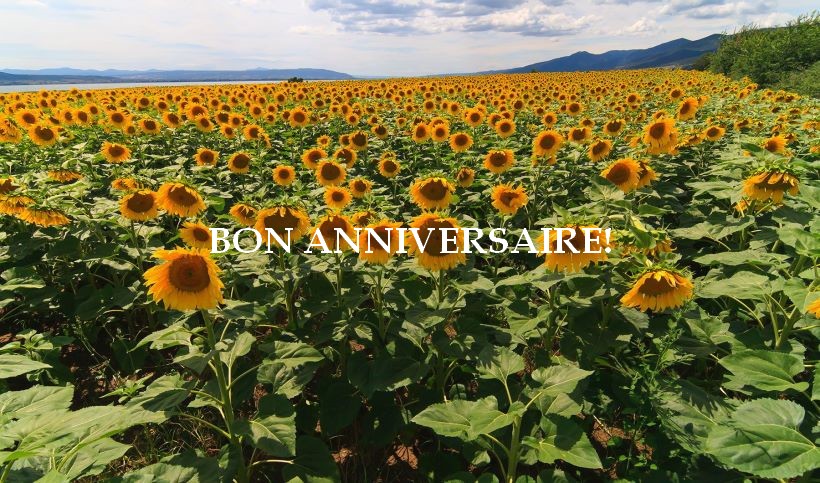 printemps-tournesol.jpg