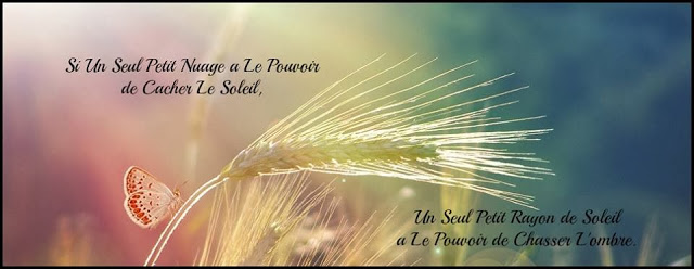 proverbe 26.jpg