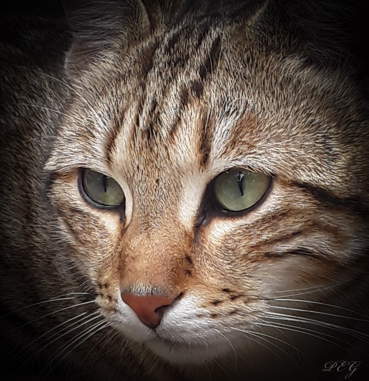 PSX_20190302_100941.jpg