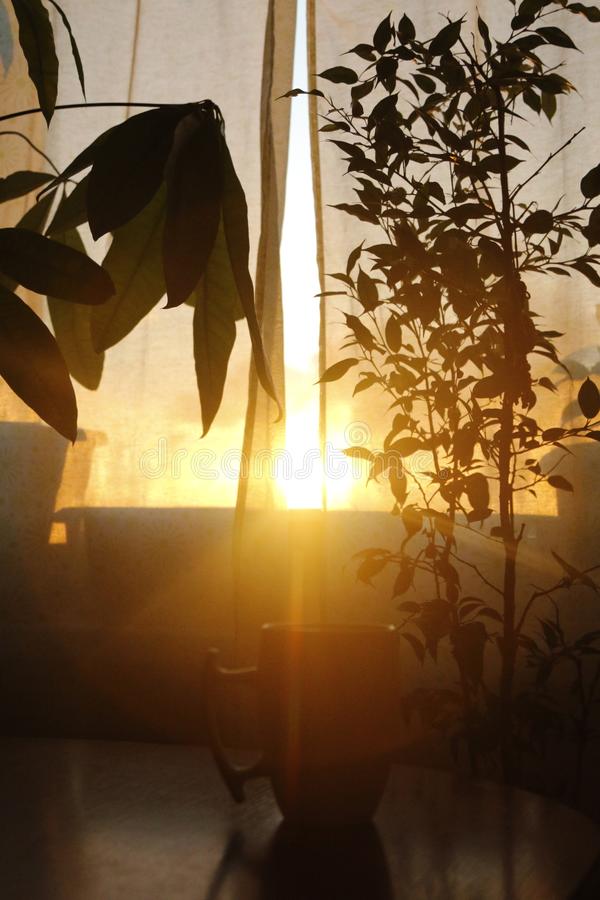 rayons-du-coucher-de-soleil-à-la-maison-arrière-plan-lumière-contrastée-depuis-une-fenêtre-le-...jpg
