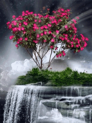 received_290972121429019.gif