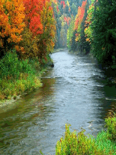 riva.gif