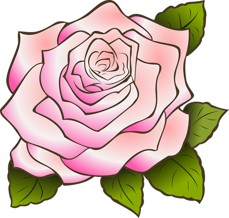 rose-309524_960_720.png