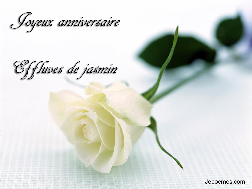 rose-blanche-anniversaire.jpg