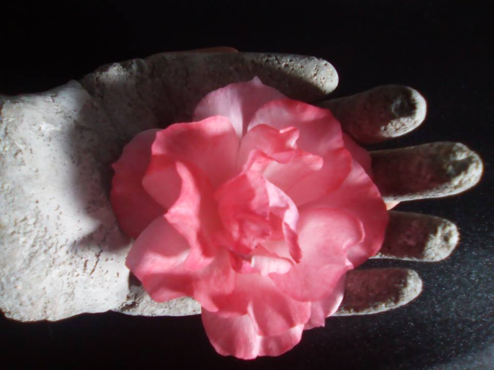 Rose ciment.jpg