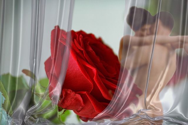rose.jpg
