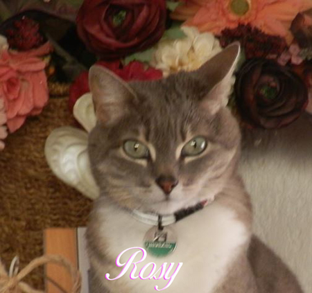 rosy.jpg