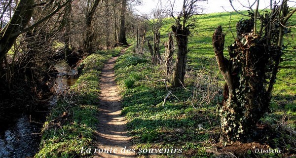 Ruelle lambiné.jpg 1.jpg