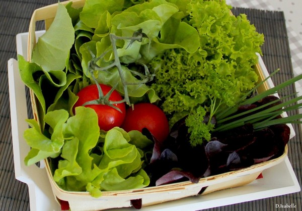 Salade.jpg 2A1.jpg